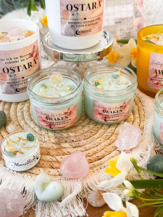 Kristallkerze AWAKEN Frühling Tag&Nachtgleiche mit Aventurin, Rosenquarz&Citrin