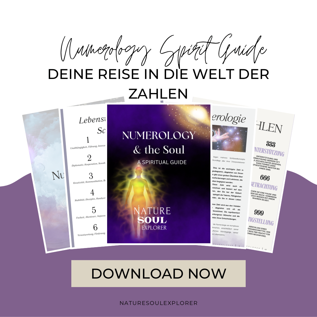Numerology & Soul Digital