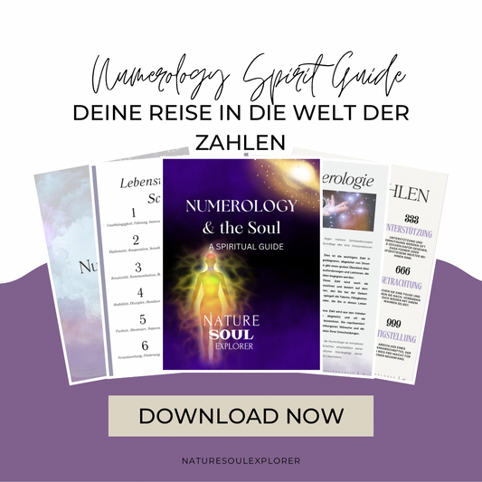 Numerology & Soul Digital
